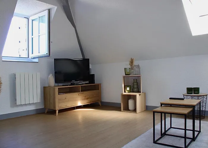 Apartee - Spacieux T2 Renove - Centre Laval (Mayenne)